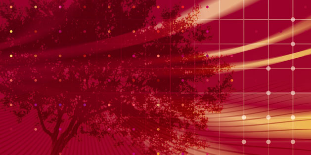 Success Begins with Effective Design